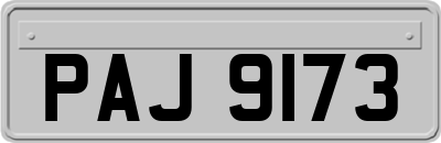 PAJ9173