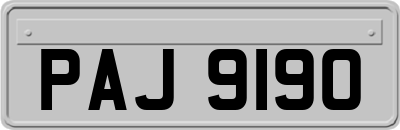 PAJ9190