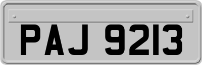 PAJ9213