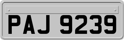 PAJ9239