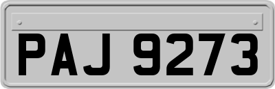 PAJ9273