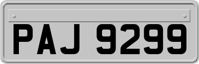PAJ9299