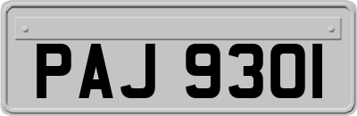 PAJ9301