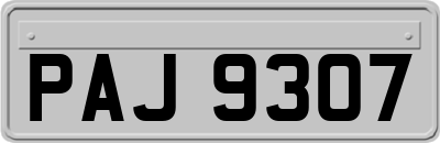 PAJ9307