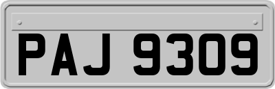 PAJ9309