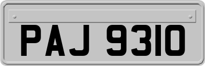 PAJ9310