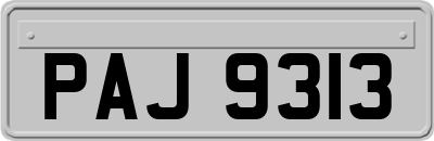 PAJ9313