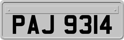 PAJ9314