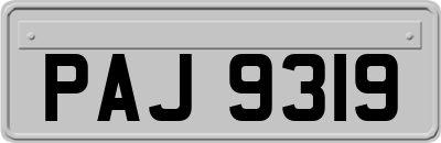 PAJ9319
