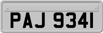 PAJ9341