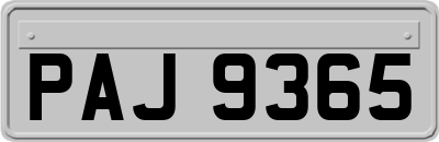 PAJ9365