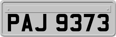 PAJ9373