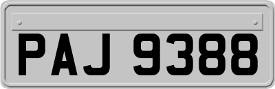 PAJ9388