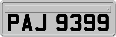 PAJ9399