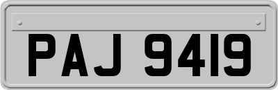 PAJ9419
