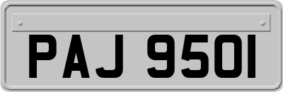 PAJ9501