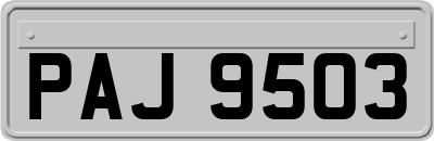 PAJ9503