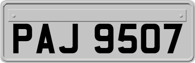 PAJ9507