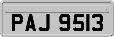 PAJ9513