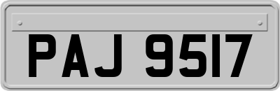 PAJ9517
