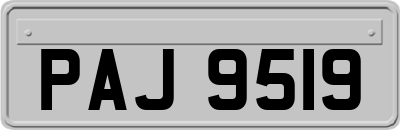 PAJ9519