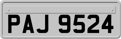 PAJ9524