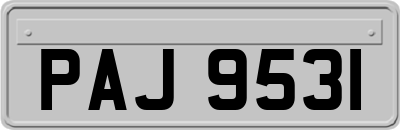 PAJ9531
