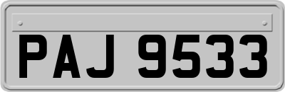 PAJ9533