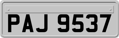 PAJ9537