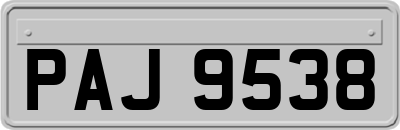 PAJ9538