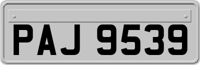 PAJ9539