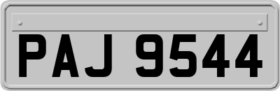 PAJ9544