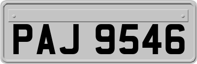 PAJ9546