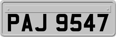 PAJ9547