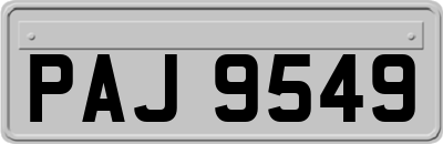 PAJ9549