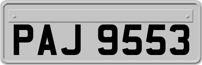 PAJ9553