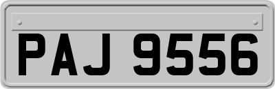 PAJ9556
