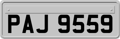 PAJ9559
