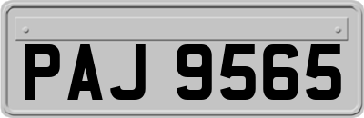 PAJ9565