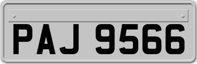 PAJ9566