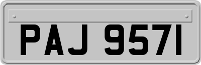 PAJ9571
