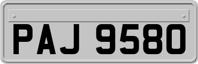 PAJ9580