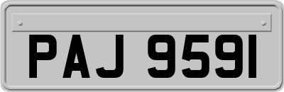 PAJ9591