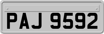 PAJ9592