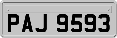PAJ9593