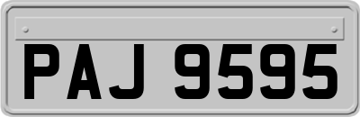 PAJ9595