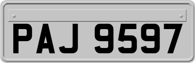 PAJ9597