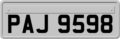 PAJ9598