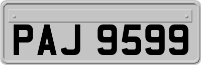 PAJ9599