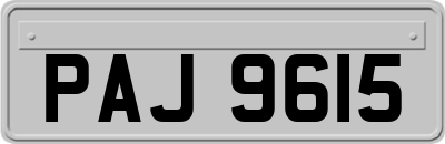 PAJ9615